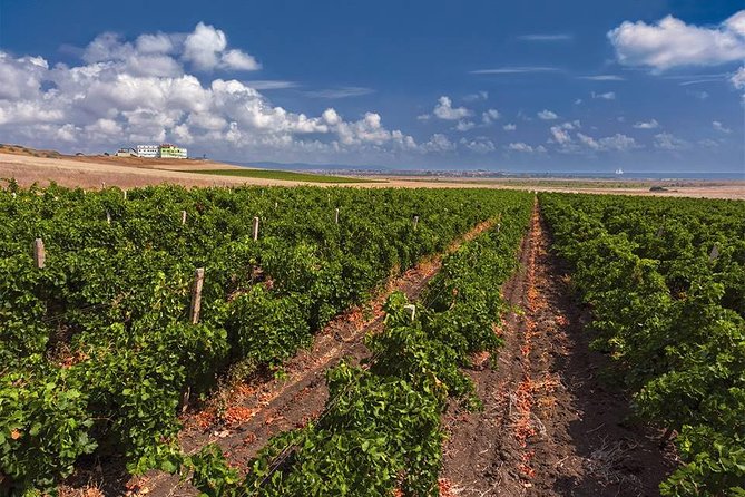 Special History And Wine Tour including Wine Tasting - DiVes Estate Winery: Simeon’s Hill and the Eye of the Winner