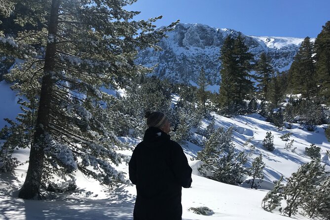 The Best of Bansko: Magical Snowshoeing Adventure & SPA - Pickup and Timing: Start Smooth, Finish Happy