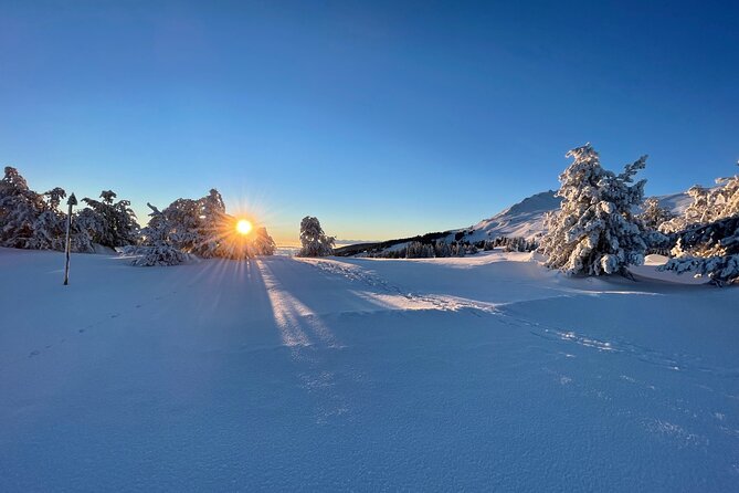 The Best of Sofia: Magical Snowshoeing Adventure in Vitosha & SPA - A Small Detail With Big Value: Guide Support on the Trail