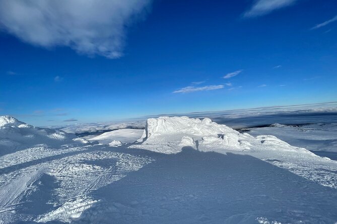 The Best of Sofia: Magical Snowshoeing Adventure in Vitosha & SPA - Timing and the 4 to 8 Hour Reality