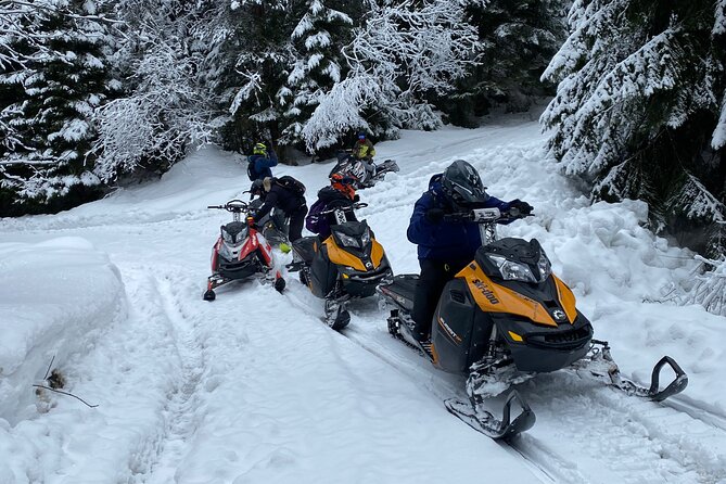 The Ultimate Snowmobile Adventure - 7 Rila Lakes & Panichishte - Stop-by-Stop Route: Panichishte, Rila, National Park, Geyser, Saparevo Banski, Kotvata, and Goritsa