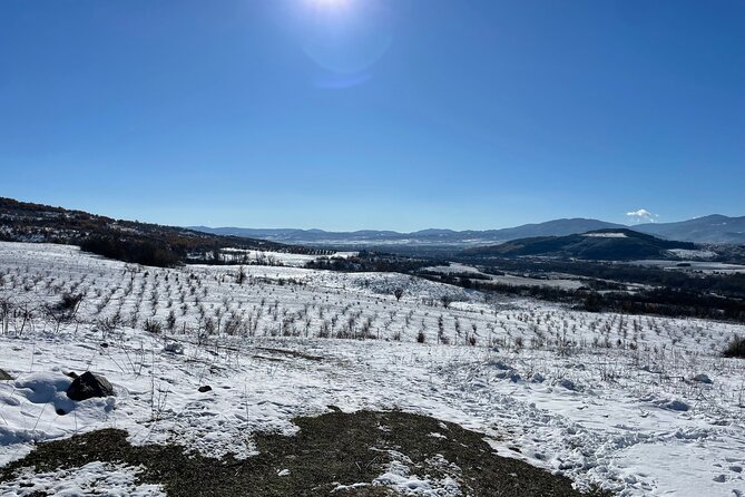 Truffle Hunting in Kyustendil - Where the hunt happens: Shipochano near Kyustendil