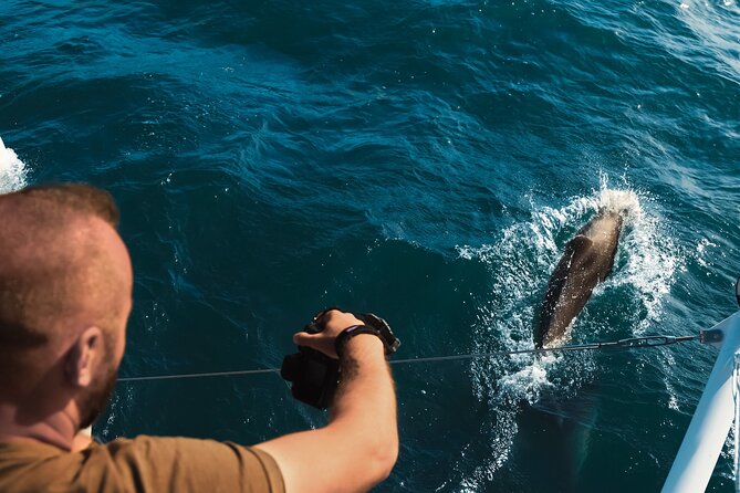 VIP Catamaran 4 hour Activity with Snorkeling in Bulgaria - Cruise Back Along the Coast, the Dolphin Watch Moment